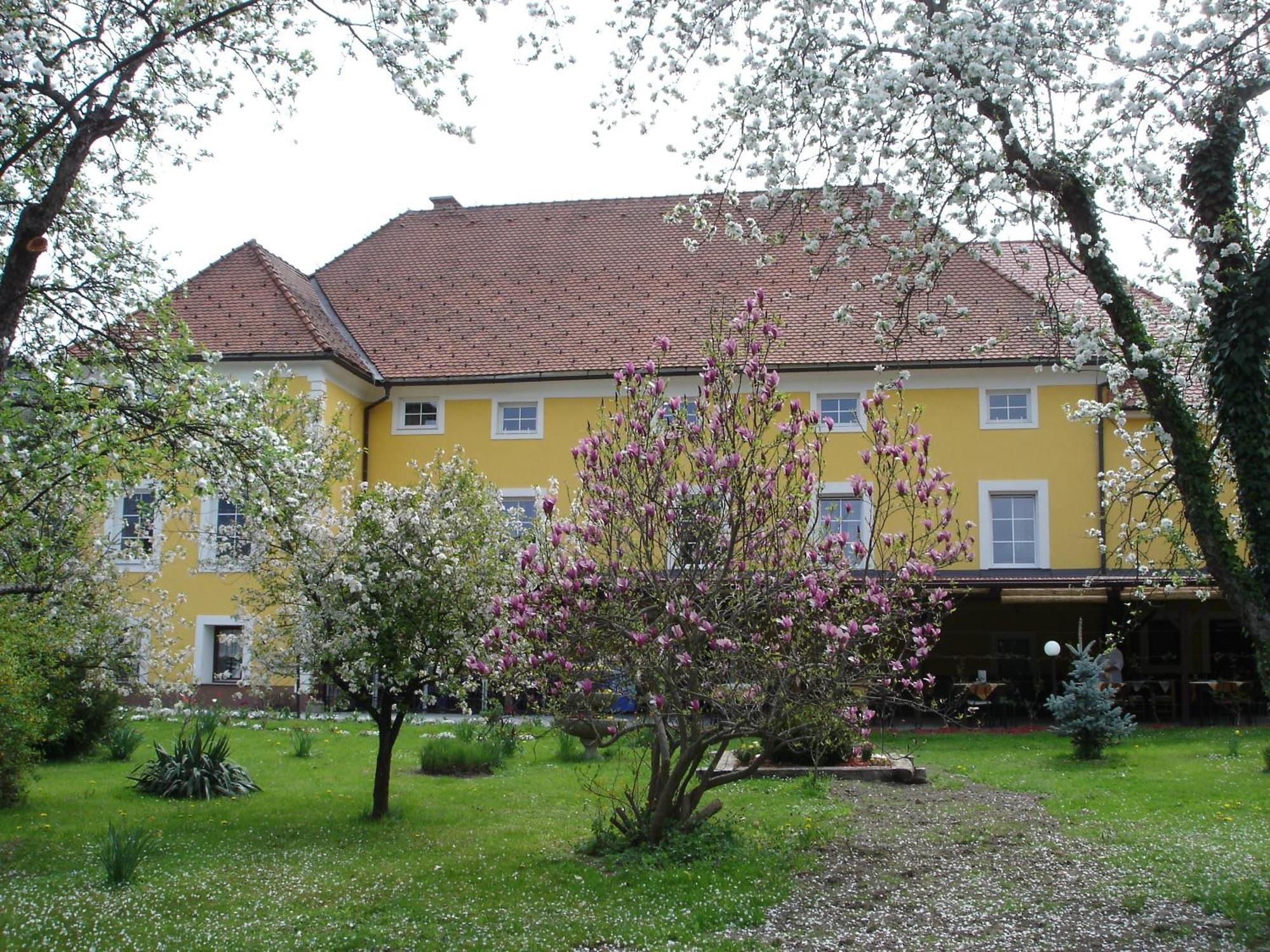 Guest House Cater Laško Exteriör bild